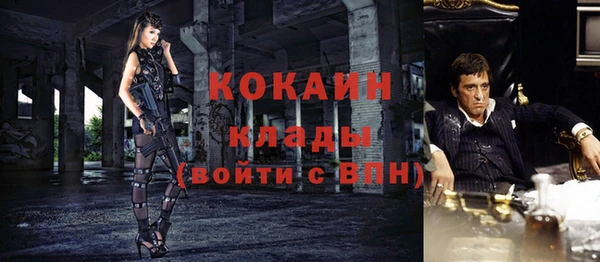шишки Володарск