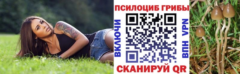 Псилоцибиновые грибы Magic Shrooms  Хасавюрт 